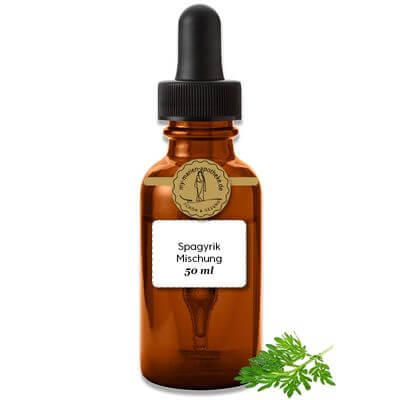 GINKGO-GINKGO Spagyrik Energetische Mischung