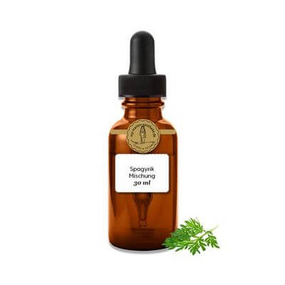 Symphytum officinale spagyrische Einzelessenz